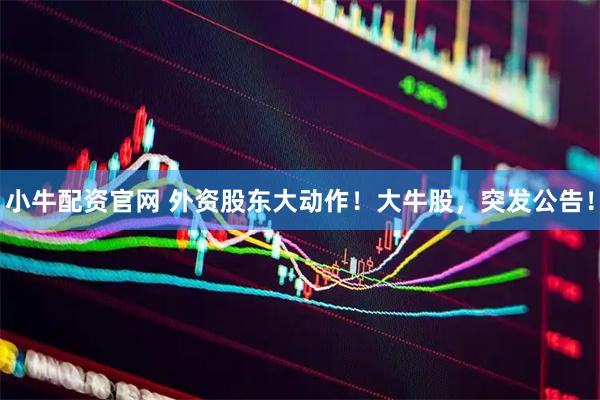 小牛配资官网 外资股东大动作！大牛股，突发公告！
