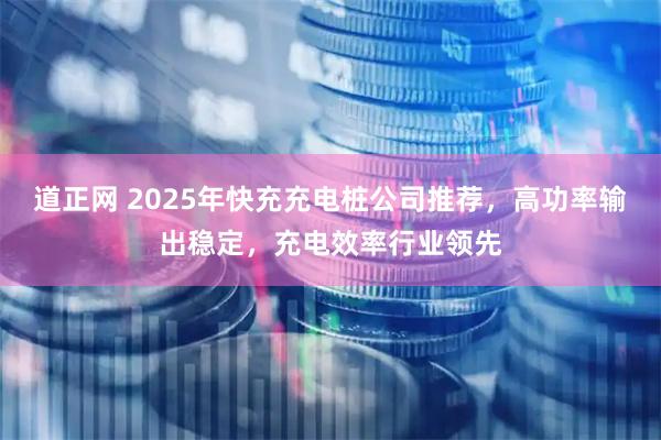 道正网 2025年快充充电桩公司推荐，高功率输出稳定，充电效率行业领先